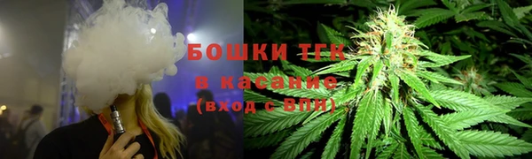 шишки Ельня